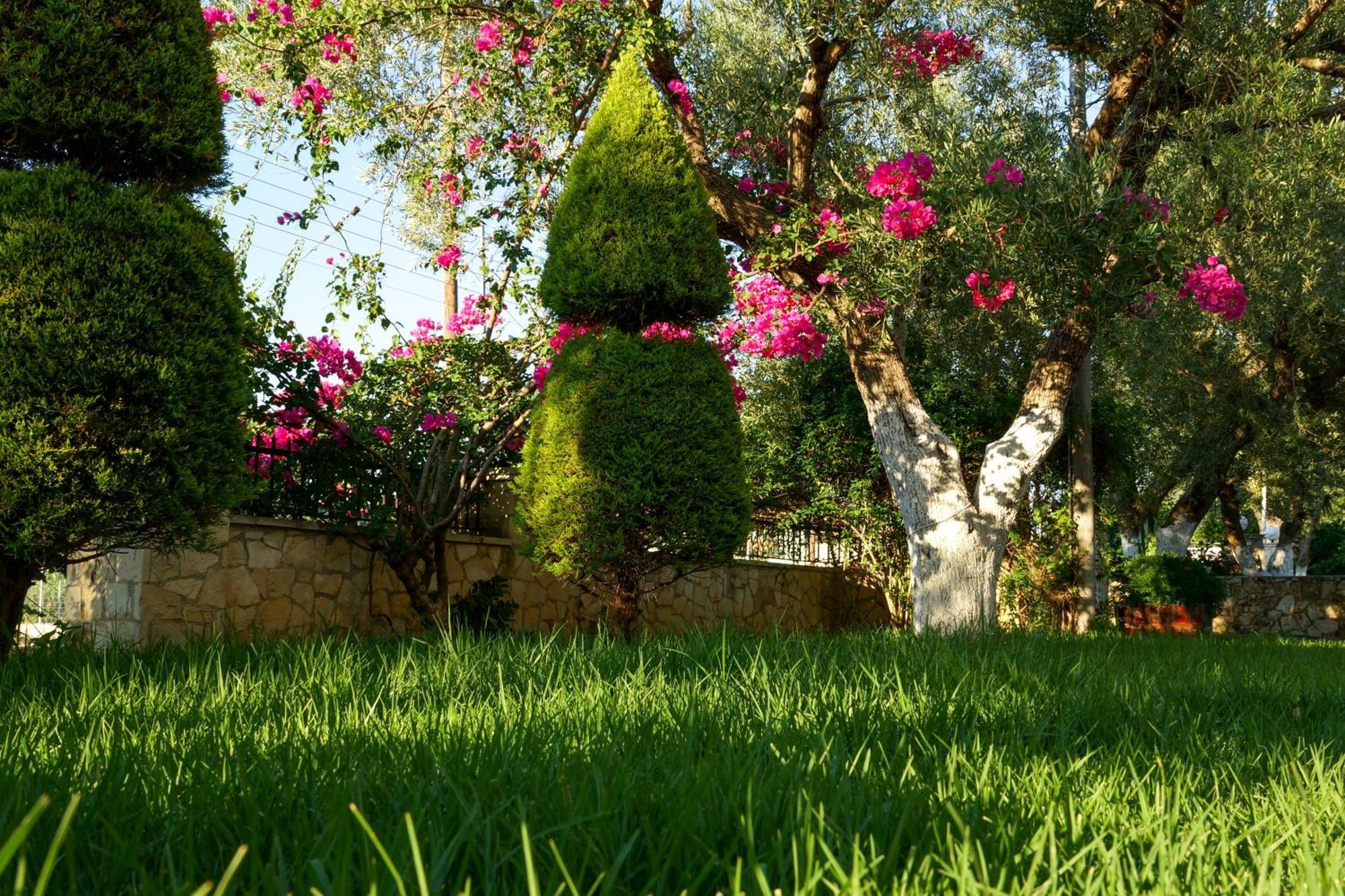 Maria Studios Keri Dış mekan fotoğraf